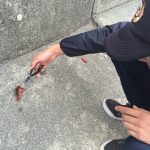 第9回伊豆半島堤防巡り/下田~熱海 第9回伊豆半島堤防巡り/下田~熱海